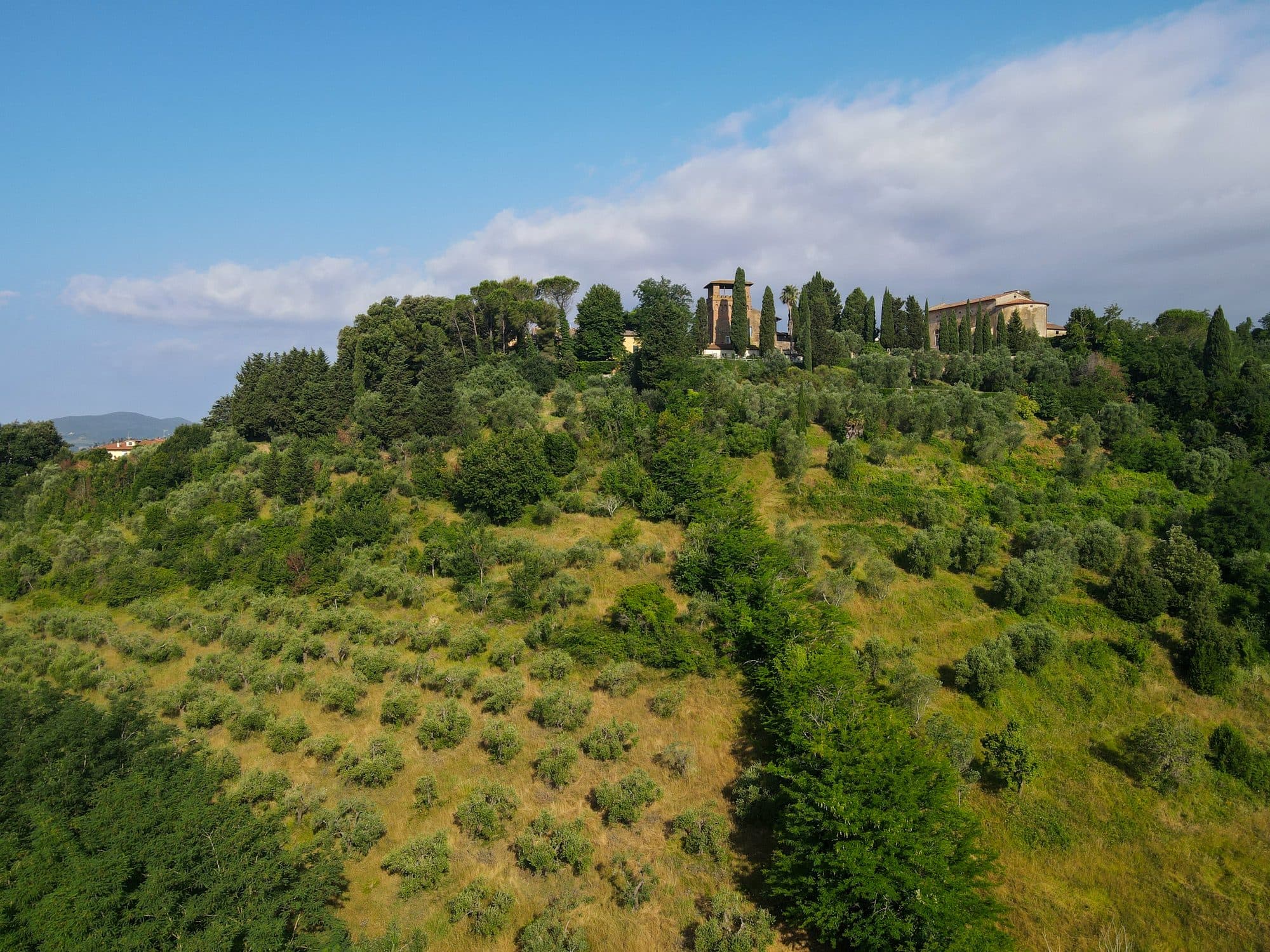 Aerial view of the grove on a hillside with a farmhouse on the ridge.